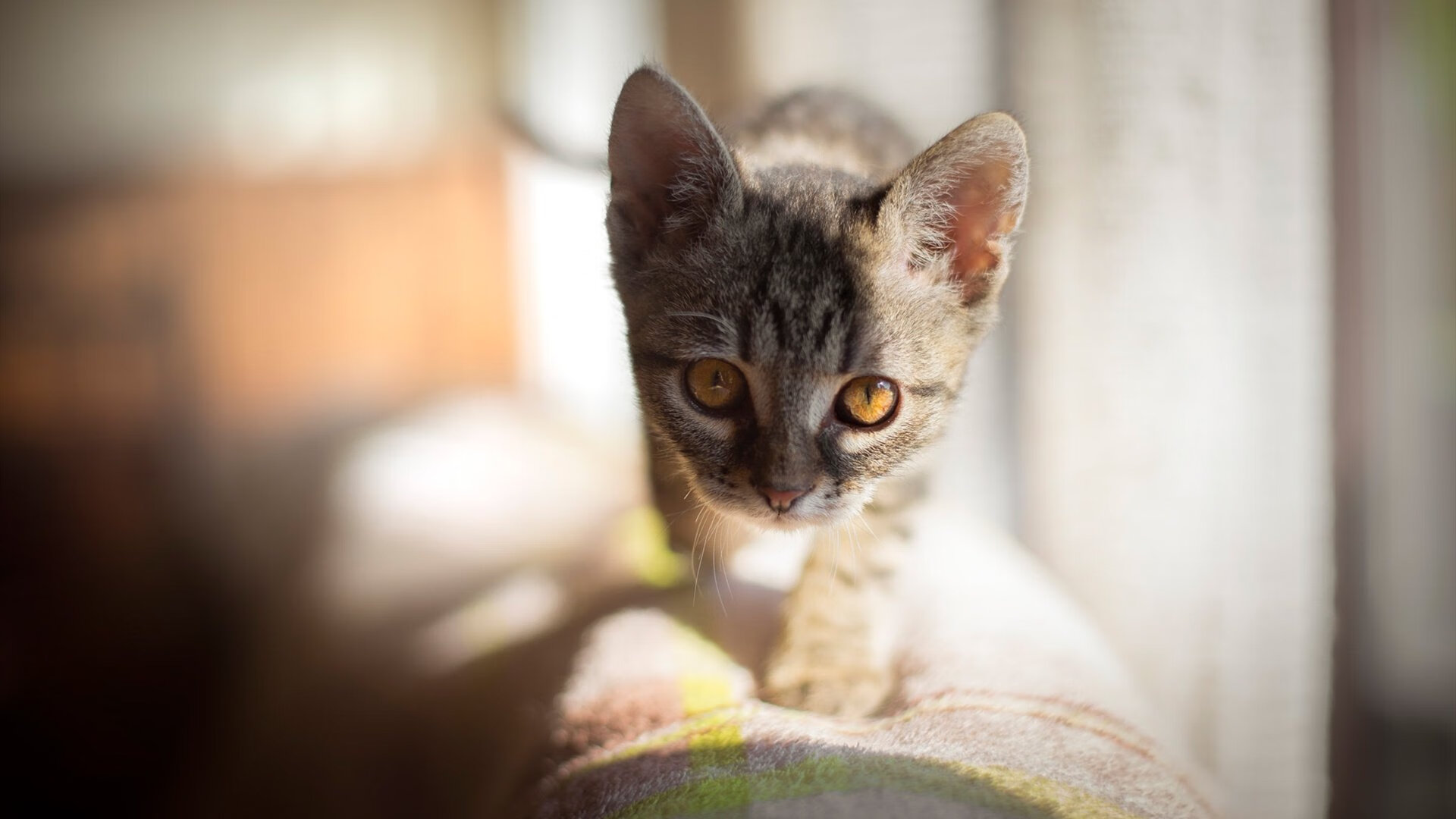 爱游戏下载-NBA召开“运动与心理健康”论坛，联盟多队参与，nba心理学