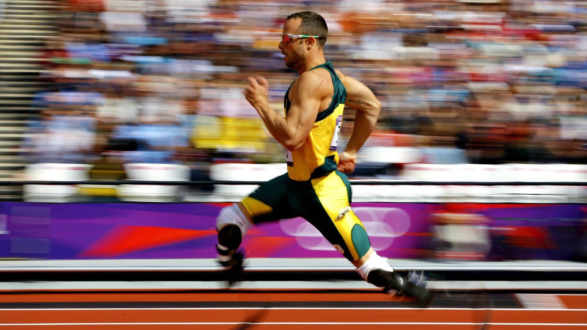 爱游戏娱乐-跳水稳定输出波兰锁定奖牌希望，bondar跳水